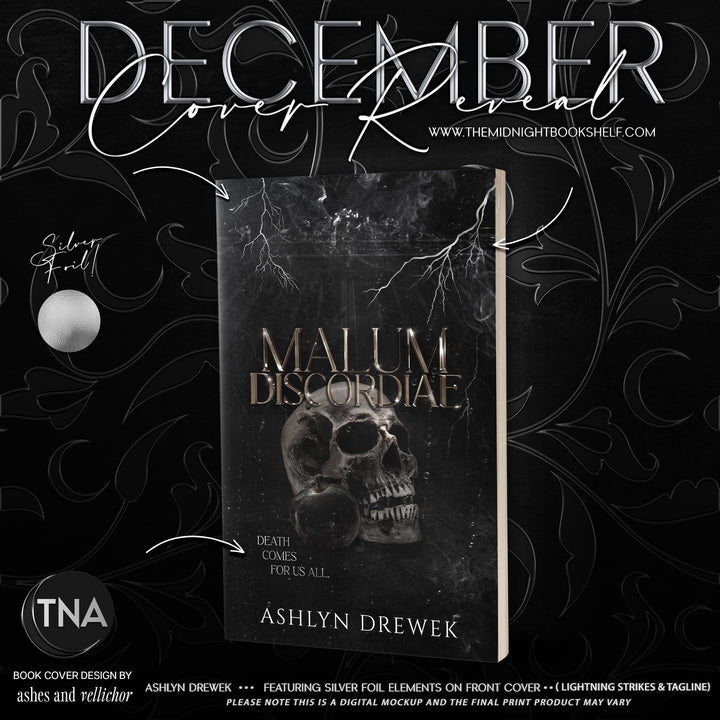 December Box Featuring ASHLYN DREWEK